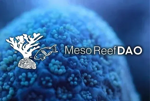 MesoReef DAO