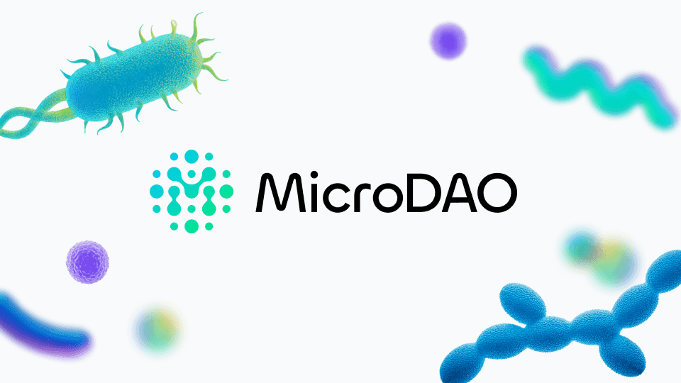 MicroDAO