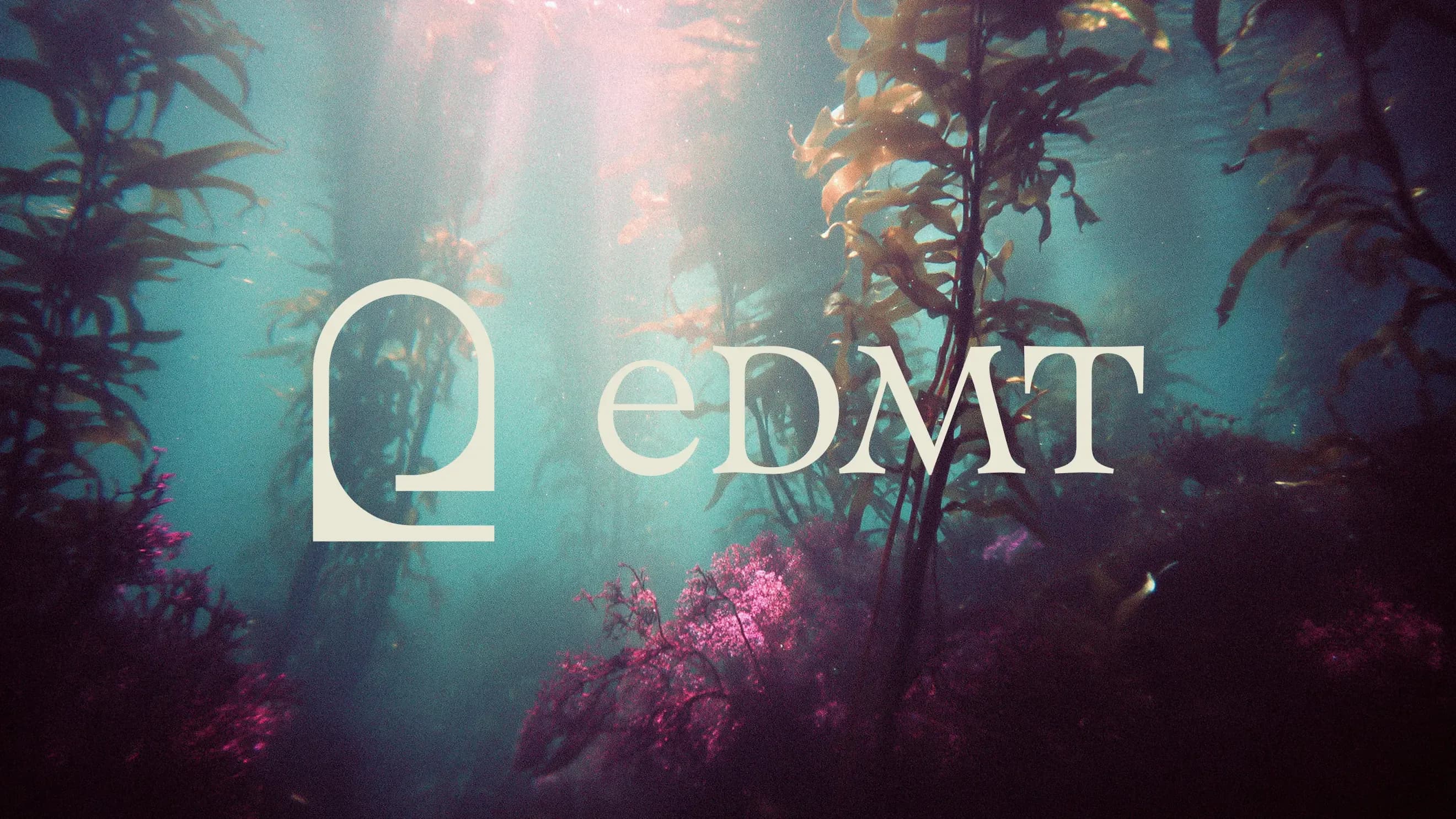 eDMT Commons